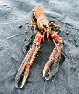 &copy; Marijke Barhorst